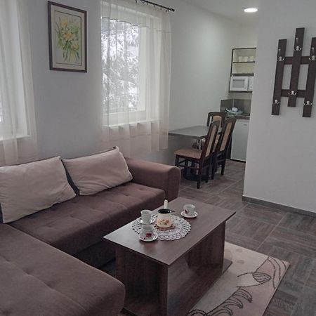 Vila Mozart - Apartments & Studios Kopaonik Dış mekan fotoğraf